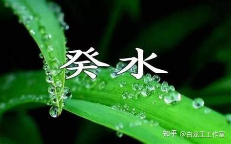 葵水命格|癸水命：充满智慧谋略，容易富贵！